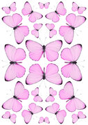 Fietsstickers vlinders roze