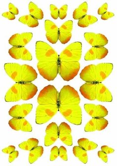 Fietsstickers vlinders geel