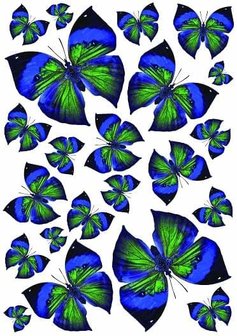 Fietsstickers vlinders zwart-blauw-groen