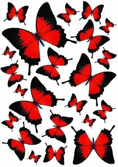 Fietsstickers vlinders zwart-rood