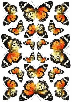 Fietsstickers vlinders zwart-oranje-geel