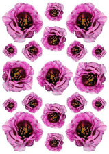 Fietsstickers bloemen klaproos paars