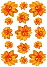 Fietsstickers Dahlia bloemen oranje