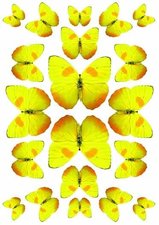Fietsstickers vlinders geel