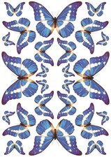 Fietsstickers vlinders blauw