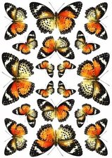 Fietsstickers vlinders zwart-oranje-geel