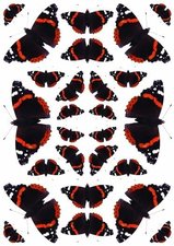Fietsstickers vlinders zwart-rood