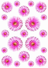 Fietsstickers Gerbera roze