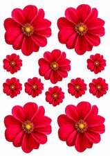 Fietsstickers bloemen rood