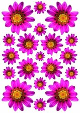 Fietsstickers bloemen Margriet fuchsia