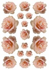 Fietsstickers bloemen rozen zalm