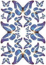 Fietsstickers vlinders blauw