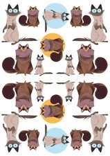 Fietsstickers cats