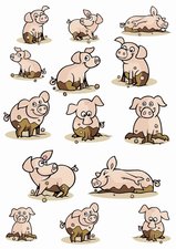 Fietsstickers grappige varkentjes
